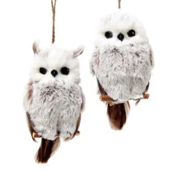 Pack Of 12 Brown And White Hanging Owl Christmas Ornaments 6"