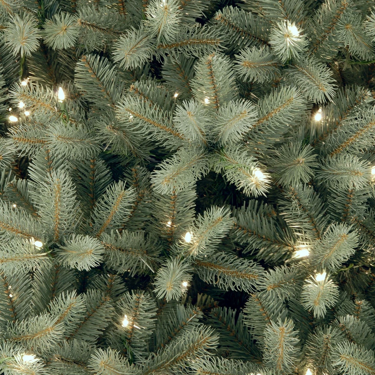 6.5’ Pre-Lit Downswept Douglas Blue Fir Artificial Christmas Tree - Clear Lights - Image 2