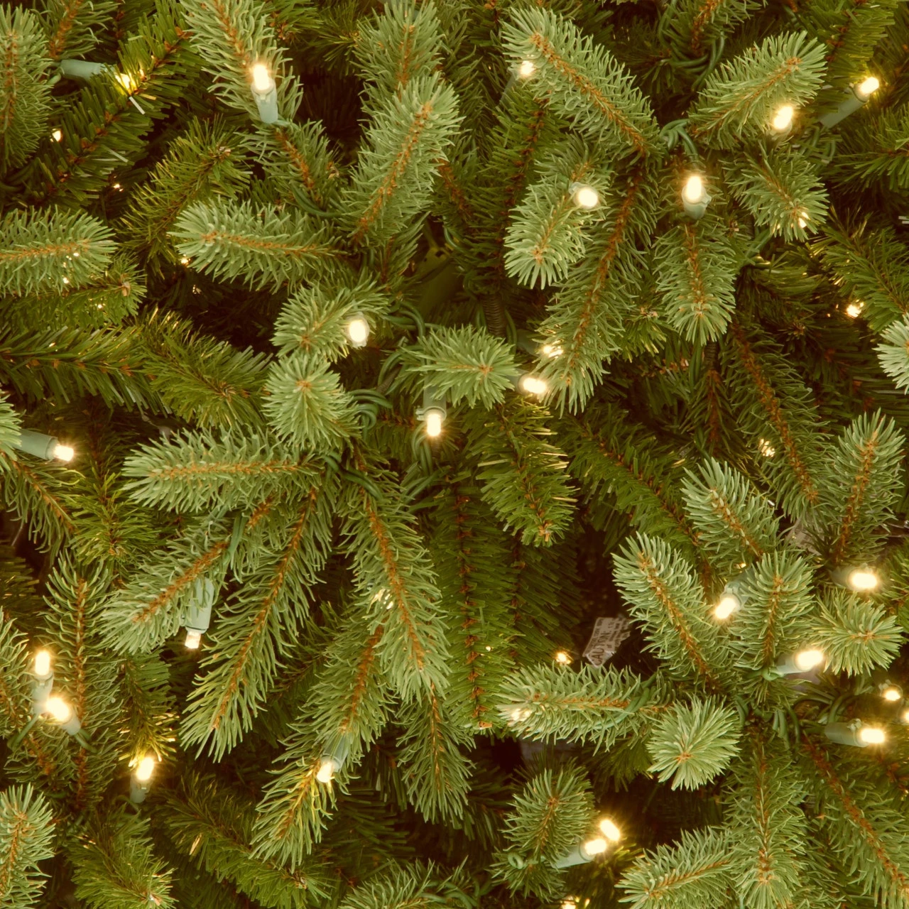9’ Pre-Lit Jersey Fraser Fir Artificial Christmas Tree - Clear Lights - Image 3