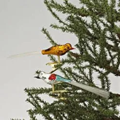 Club Pack Of 6 4.5"H Early Years Glass 5 Piece Clip-on Bird Christmas Ornaments