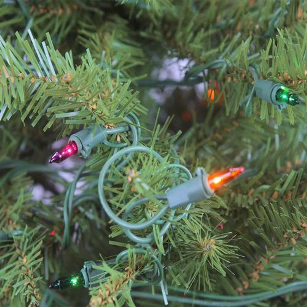 9' Pre-Lit Full Northern Pine Artificial Christmas Tree - Multicolor Lights - Image 2